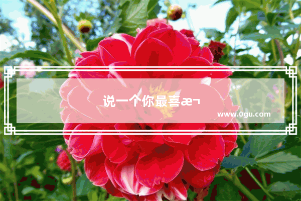 说一个你最喜欢的句子吧 很期待你的回答？是什么
