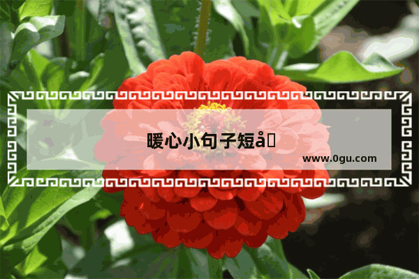 暖心小句子短句吧