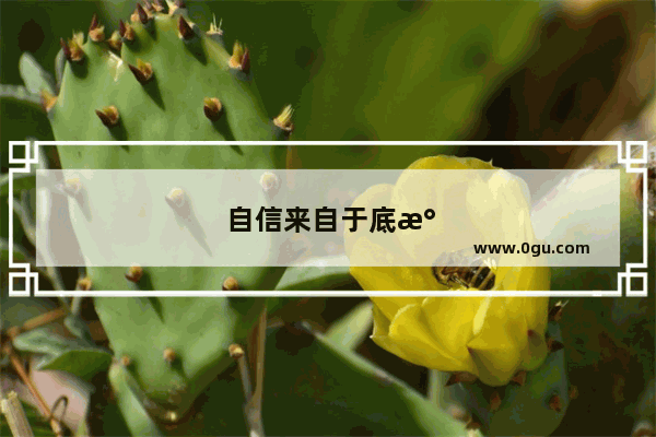 自信来自于底气的句子