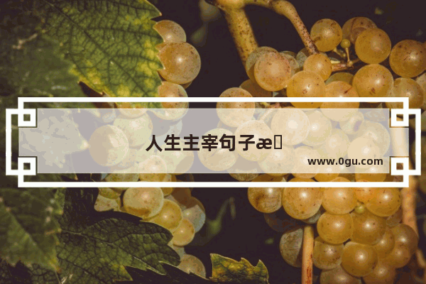 人生主宰句子摘抄