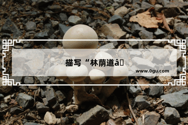 描写“林荫道”的句子有哪些