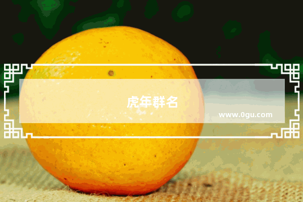 虎年群名