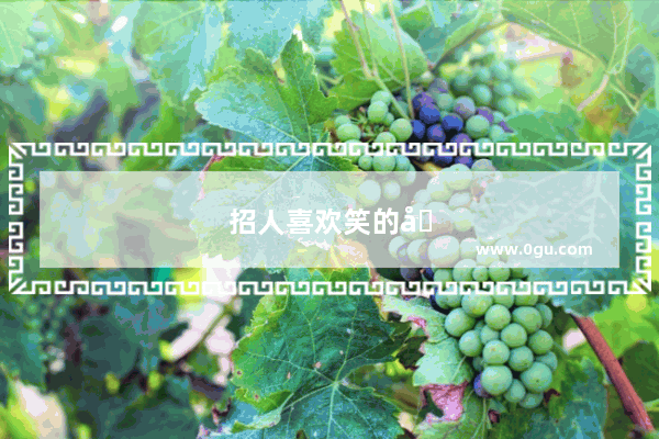 招人喜欢笑的句子有哪些