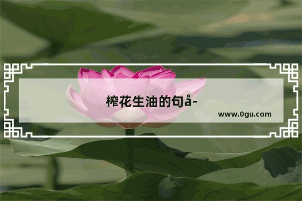 榨花生油的句子描写心情短语