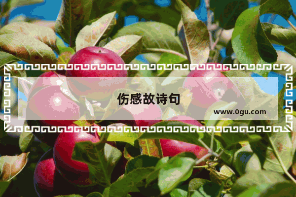 伤感故诗句
