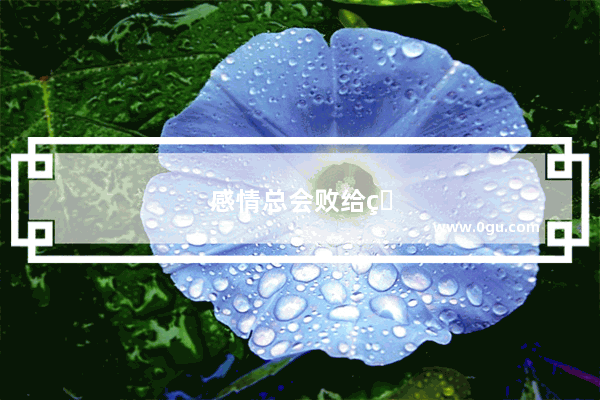 感情总会败给现实句子说说