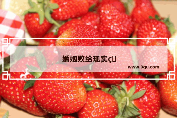 婚姻败给现实的经典句子