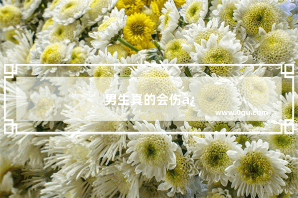 男生真的会伤心吗？是怎样的