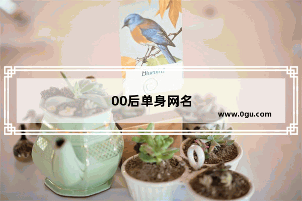 00后单身网名