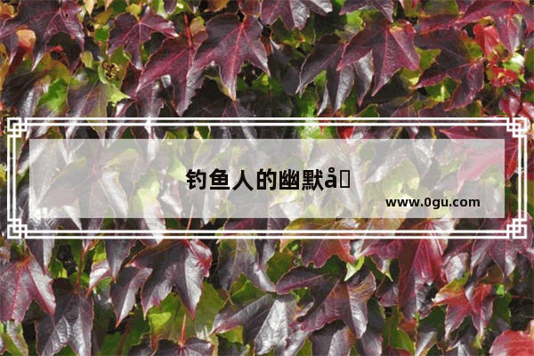 钓鱼人的幽默句子