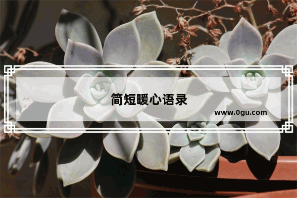 简短暖心语录