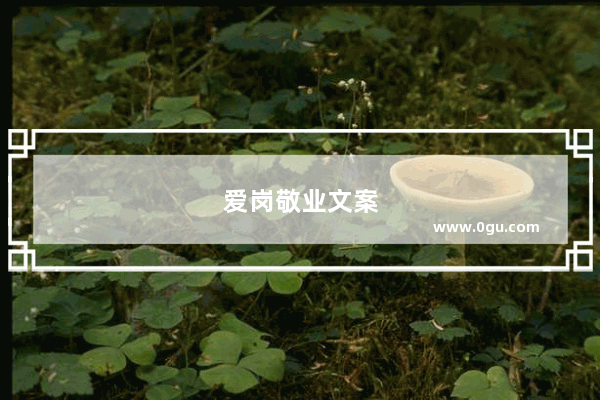爱岗敬业文案