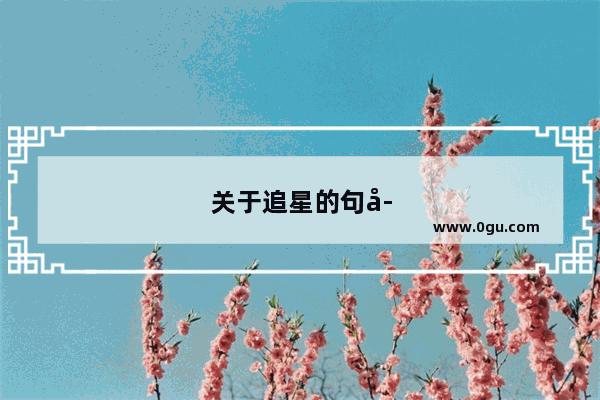关于追星的句子撒贝宁