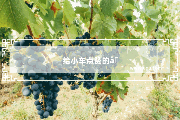 给小车点赞的句子搞笑图片