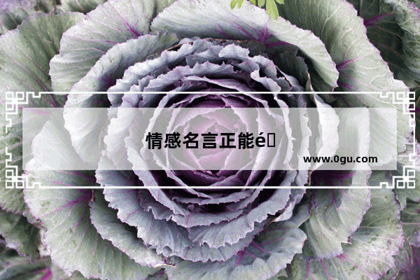 情感名言正能量句子短句