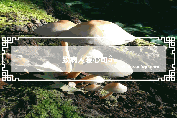 致病人暖心句子简短