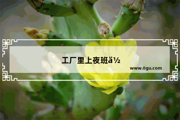 工厂里上夜班你有什么有趣的时候我们大家分享一下吧