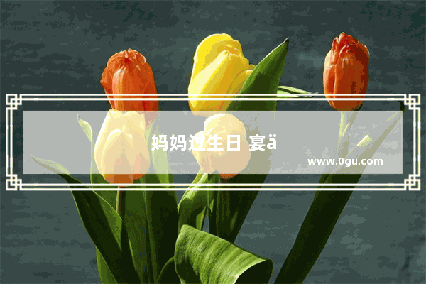 妈妈过生日 宴会上的说辞