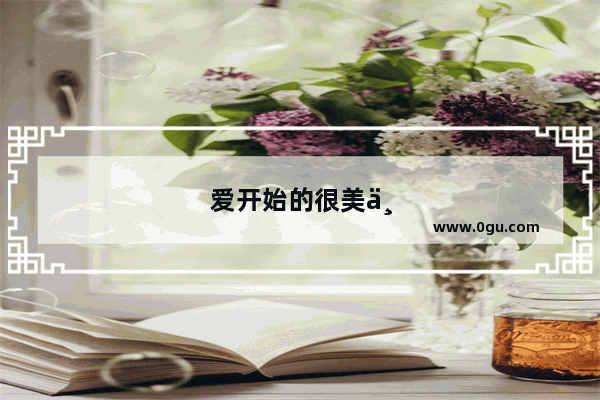 爱开始的很美丽结束的没道理说说