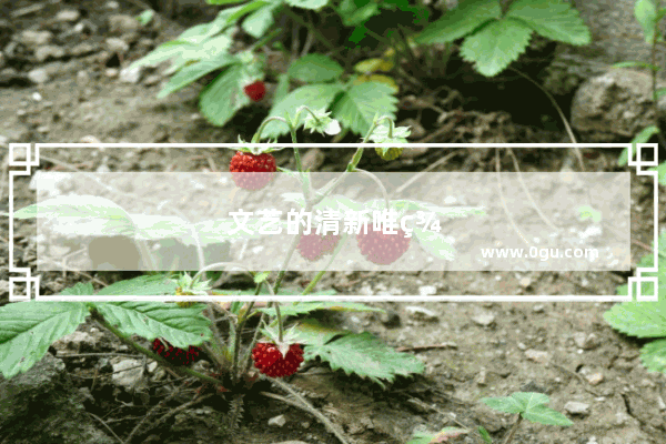 文艺的清新唯美句子短句图片