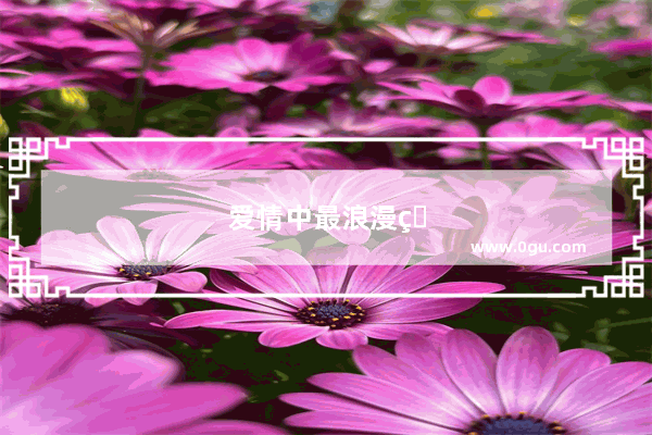 爱情中最浪漫的爱情句子简短