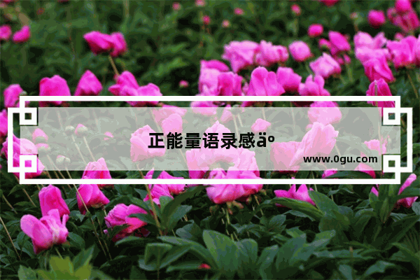 正能量语录感人句子短句