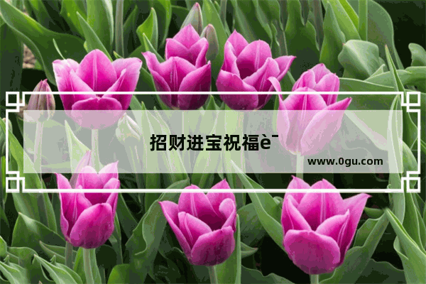 招财进宝祝福语顺口溜