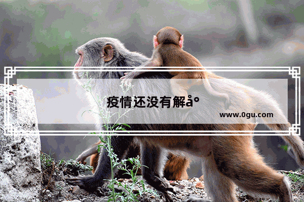 疫情还没有解封 我们这些外来人员怎么回家呢