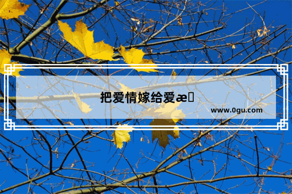 把爱情嫁给爱情的句子说说
