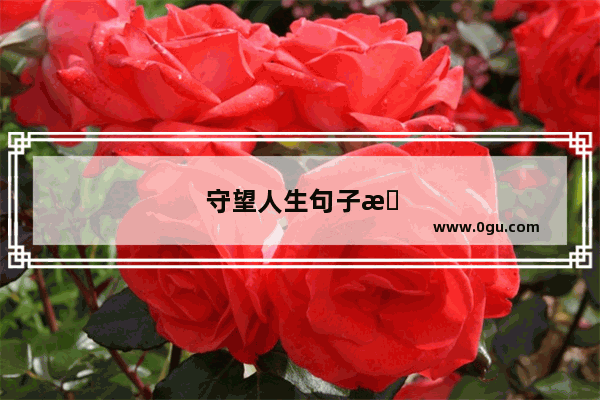 守望人生句子摘抄