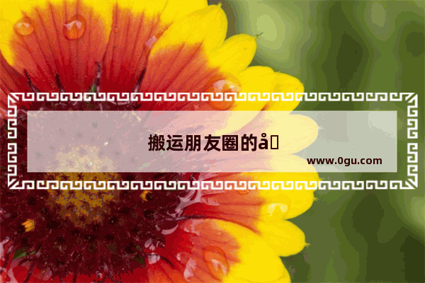 搬运朋友圈的句子搞笑幽默