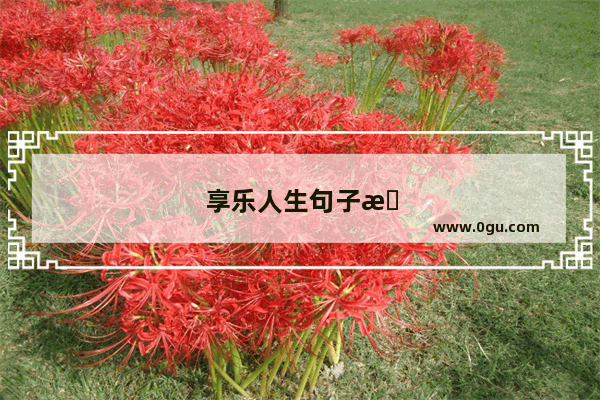 享乐人生句子摘抄