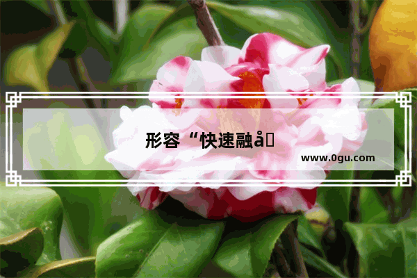 形容“快速融入集体”的句子有哪些