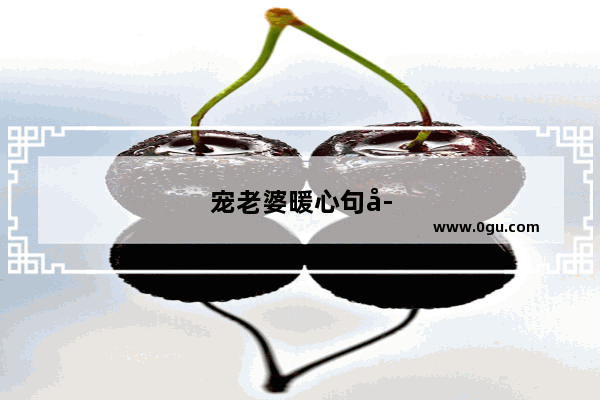 宠老婆暖心句子简短