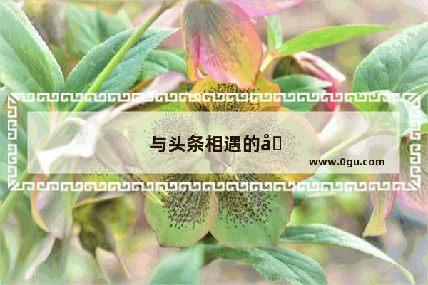 与头条相遇的唯美句子简短