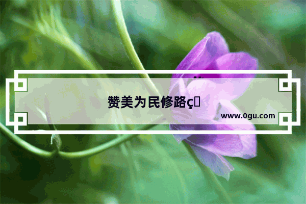 赞美为民修路的短句子