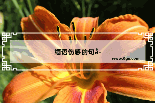 缅语伤感的句子