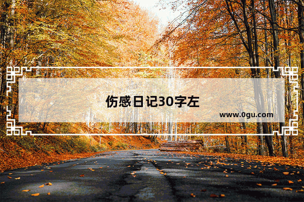 伤感日记30字左右 很伤心的那种