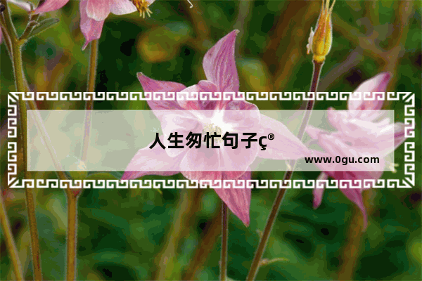 人生匆忙句子简短