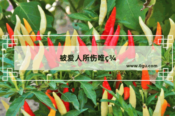 被爱人所伤唯美句子简短一点