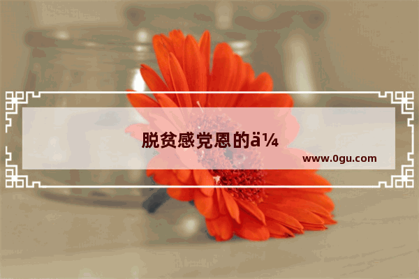 脱贫感党恩的优美句子