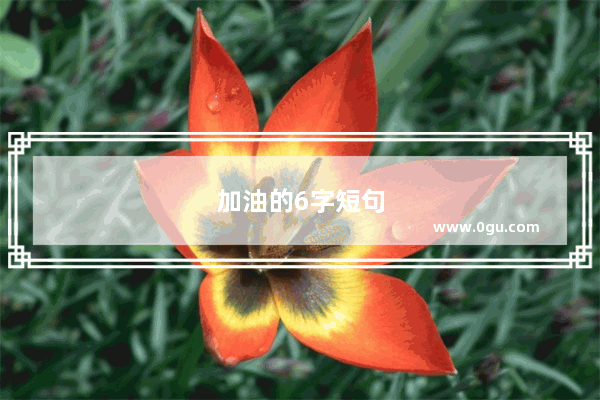 加油的6字短句