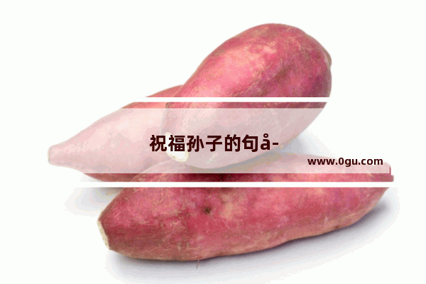 祝福孙子的句子怎么写