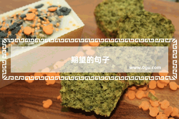 期望的句子
