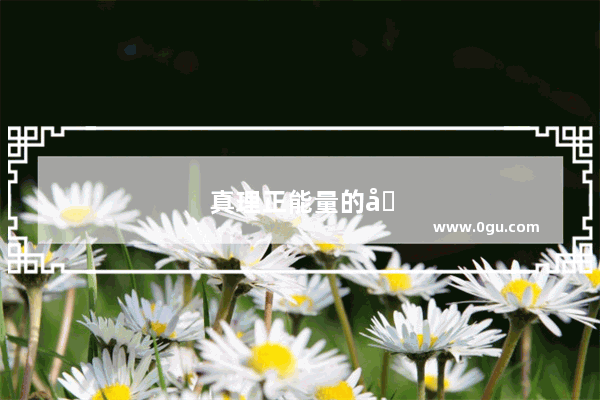 真理正能量的句子简短