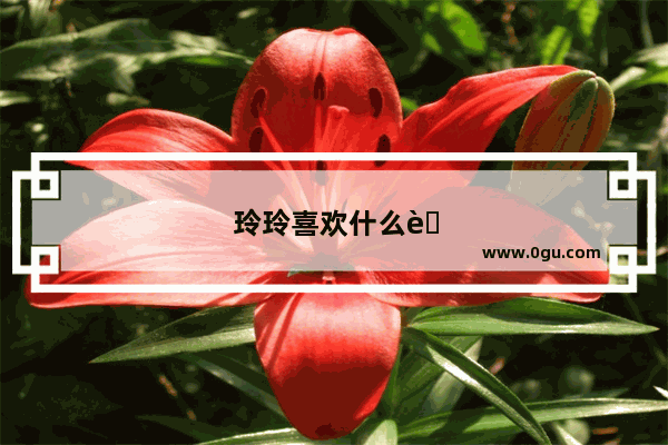 玲玲喜欢什么英语怎么说