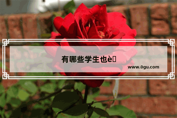 有哪些学生也能做的网络++
