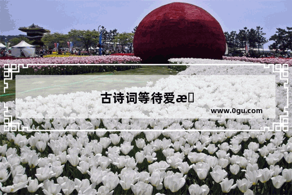 古诗词等待爱情佳句