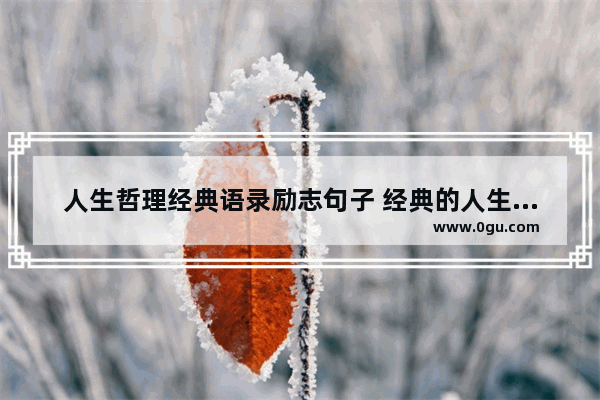 人生哲理经典语录励志句子 经典的人生哲理句子