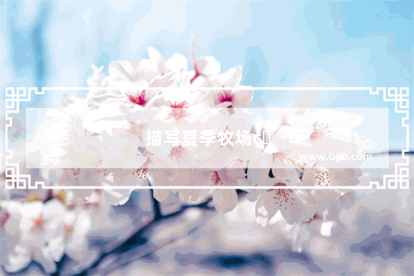 描写夏季牧场的句子唯美短句